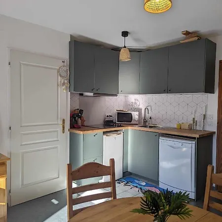 Apartamento 4 Couchages ,plein Sud Calme *